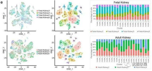 42分Nature顶刊单细胞测序综述 刷新人类细胞图谱认知，揭示下一波研究热点
