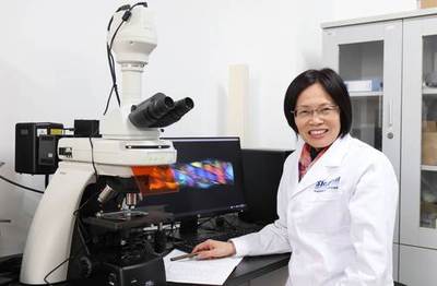 潜心科研育英才 巾帼建功绽芳华——记我校朱美芳教授获评2020年上海市先进工作者